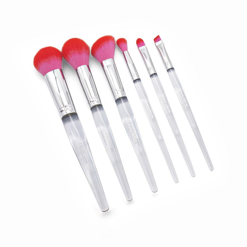 Spectrum Brush Club 6 Pc Everyday Brush Set Pink - Imperfect Box