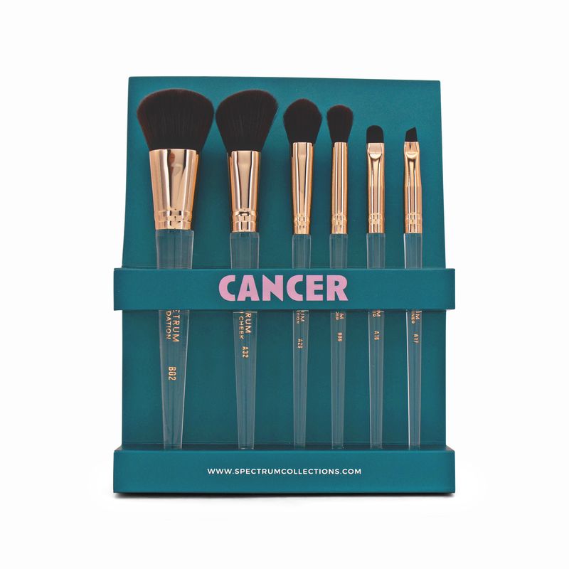 Spectrum Cancer 6-Piece Makeup Brush Set - Imperfect Box